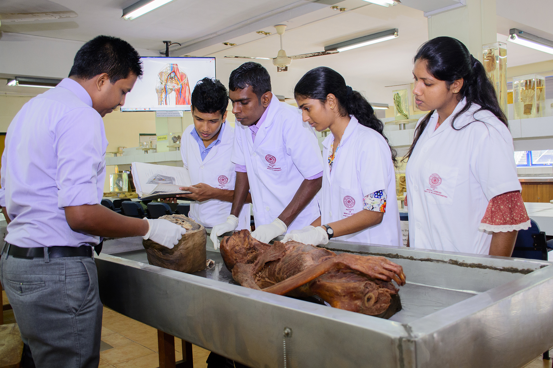 Anatomy – Overview – Faculty of Medical Sciences